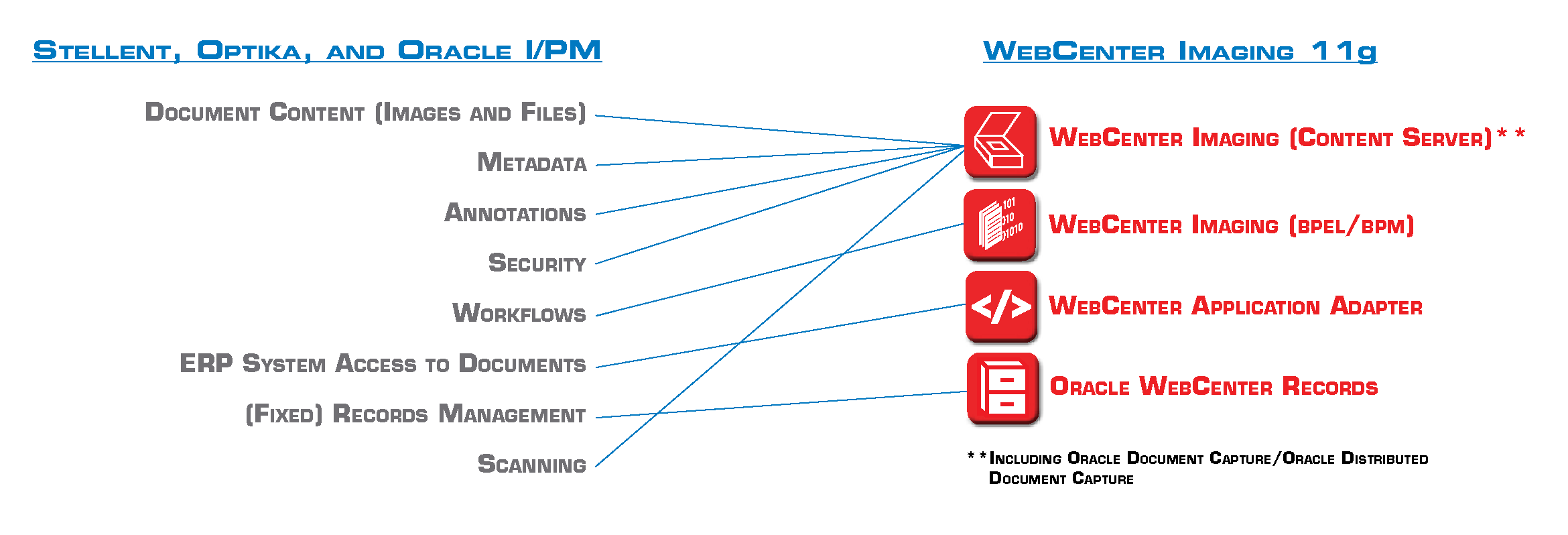 IPM Mapping