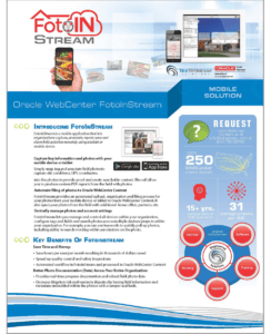 FotoInStream Datasheet Download