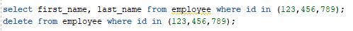 SQL snippet selecting and deleting employees by ID using hardcoded values in an IN clause.
